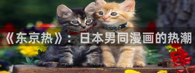 我是坏小子漫画下拉式奇漫屋